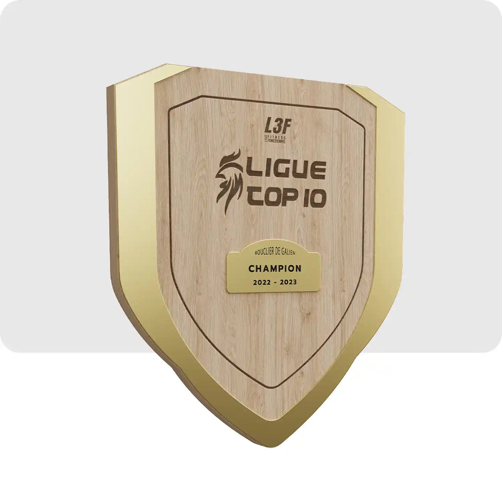 Trophée personnalisé en bois, de couleur doré et en bois, il a la forme d'un bouclier. 